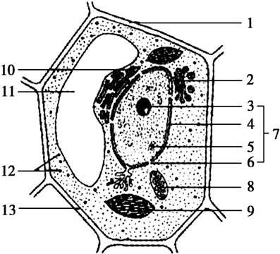 体外受精 IVF-ET